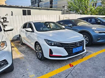 2021 Changan Ruicheng CC Blue Whale Edition 1.5T DCT Luxury, фото 3, лот 10273601