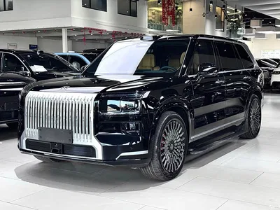 2025 ZEEKR 9X Model Standard, фото 1, лот 10305696