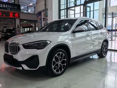 2022 BMW X1 sDrive25Li Leading, фото 1, лот 10447239