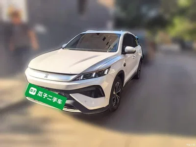 2025 BYD Song Pro New Energy 2nd Generation Smart Drive Edition DM-i 75KM Leading Type, фото 1, лот 11006934
