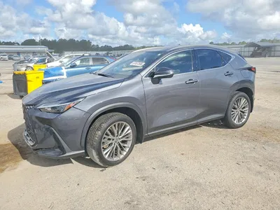 2023 LEXUS NX 350H, фото 1, лот 10847681