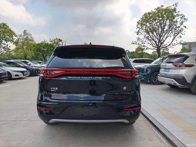 2023 BYD Tang New Energy Model DM-i Champion Edition 112KM Honor, фото 4, лот 11249181