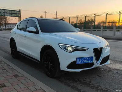 2017 Alfa Romeo Stelvio 2.0T 200HP Luxury Edition, фото 2, лот 10240280