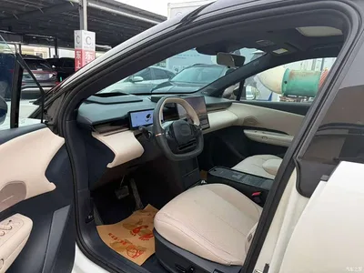 2025 Lynk & Co Z20 530km RWD Max, фото 4, лот 10315796