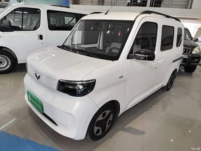 2025 Wuling Motors Wuling Zhiguang NEV Model 305km Base Version, фото 2, лот 10836057