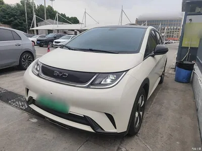 2025 BYD Dolphin 420km Fashion Edition, фото 2, лот 10259895