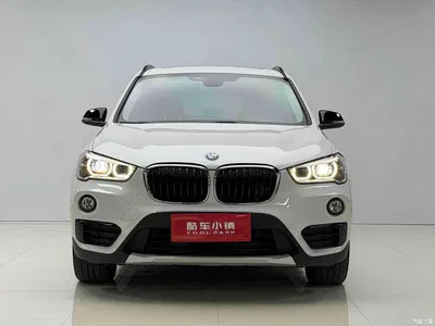 2019 BMW X1 sDrive18Li Premium Model, фото 2, лот 10402028