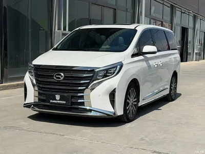 2021 GAC Trumpchi Trumpchi M8 Leading Show Series 390T Prestige Edition, фото 1, лот 10416349