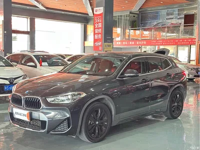 2021 BMW X2 xDrive25i M Off-Road Package, фото 1, лот 11414117