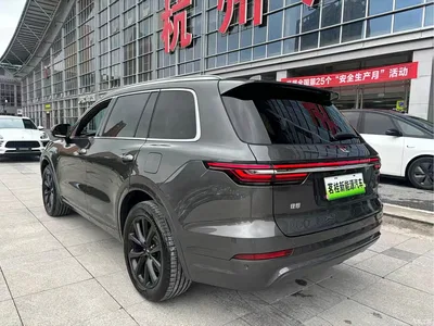 2020 Li Auto Li ONE Extended Range 6-seater, фото 4, лот 10825253