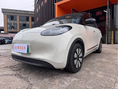 2024 Wuling Motors Wuling Bingo 333km Smart Connect Edition, фото 1, лот 10367072