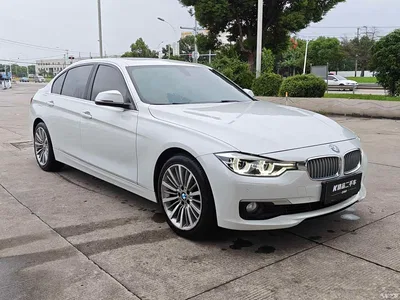 2019 BMW 3 Series 320Li Fashion Type, фото 3, лот 11211248