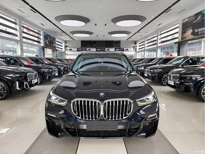 2019 BMW X5 (Import) xDrive30i M Sport Package, фото 2, лот 11183855