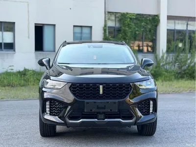 2017 WEY VV5 2.0T Flagship Model, фото 2, лот 10451335