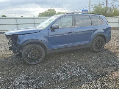2024 KIA TELLURIDE EX X-LINE, фото 1, лот 10782253