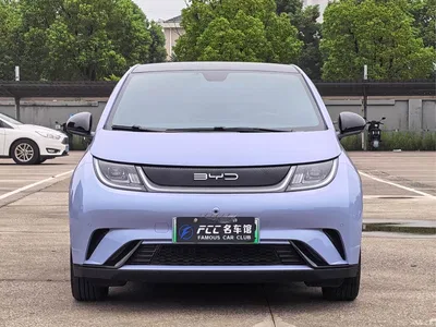 2023 BYD Dolphin 420km Fashion Edition, фото 2, лот 11242840