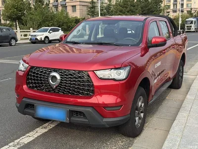 2021 Great Wall Pao 2.0T Commercial Edition Automatic Diesel 2WD Elite Long Box GW4D20M, фото 2, лот 11449165
