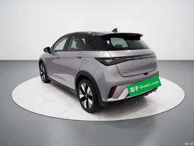 2021 BYD Dolphin 401km Knight Edition, фото 4, лот 10893746