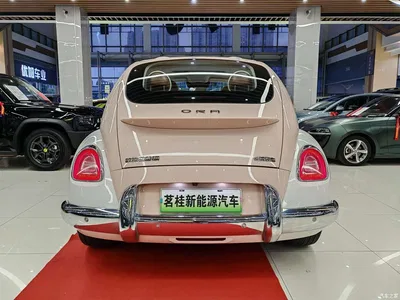 2022 Ora Ballet Cat 401km Alice Edition, фото 4, лот 10331466