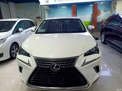 2018 Lexus NX Model 300 FWD Fengxing Edition, фото 3, лот 10319215