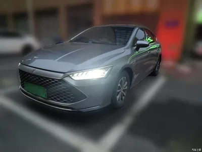 2024 BYD Qin PLUS Glory Edition DM-i 55KM Leading, фото 2, лот 11494440