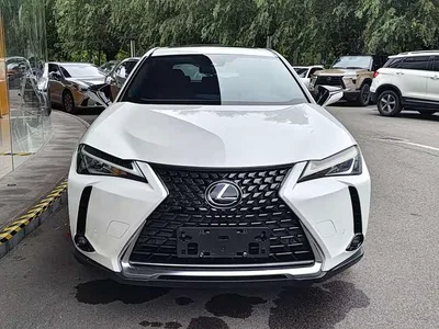 2020 Lexus UX 260h Explore Fun Edition, фото 2, лот 10311513