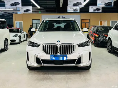 2023 BMW X5 xDrive 30Li Premium M Sport Package, фото 2, лот 10671098
