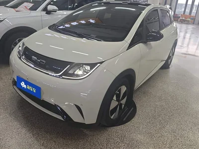 2023 BYD Dolphin 420km Freedom Edition, фото 1, лот 10252000