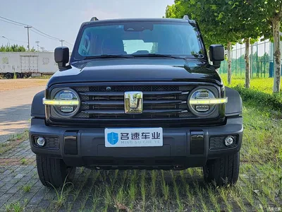 2021 Tank 300 Off-road Version 2.0T Conqueror, фото 2, лот 10345164