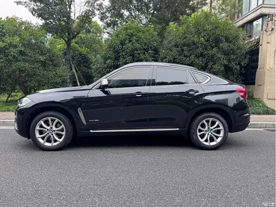 2017 BMW X6 xDrive35i Leading, фото 3, лот 11174501