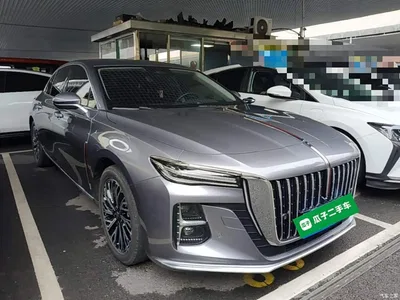 2024 Hongqi H5 2.0T Automatic Smart Connect Flag Smooth Edition, фото 4, лот 11073438