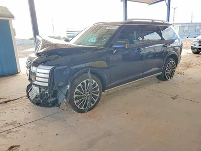 2026 HYUNDAI PALISADE CALLIGRAPHY, фото 1, лот 10755581