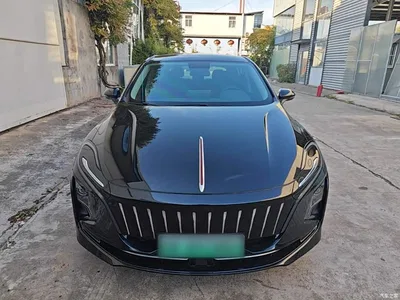 2024 Hongqi E-QM5 Model 450km Travel Edition, фото 3, лот 11518680