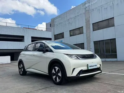 2025 BYD Dolphin 420km Fashion Edition, фото 3, лот 10250258
