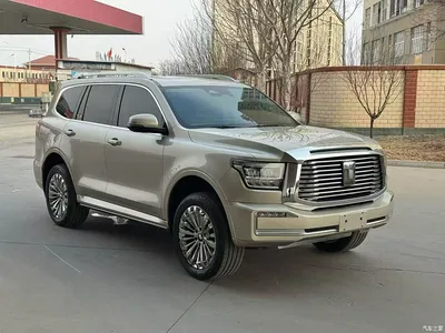 2022 Tank 500 3.0T Business Edition Dengfeng 5-Seater, фото 3, лот 10450355