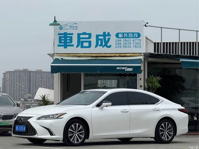2018 Lexus ES 260 Excellence Edition China V, фото 1, лот 11200565
