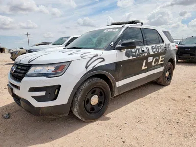 2018 FORD EXPLORER POLICE INTERCEPTOR, фото 1, лот 10545566