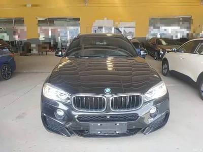2019 BMW X6 xDrive35i M Sport Package, фото 3, лот 10469422