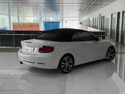 2019 BMW 2 Series (Import) 225i Convertible Coupe Sport Design Package, фото 4, лот 10410548