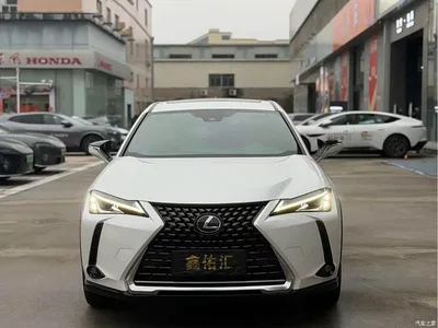 2020 Lexus UX 260h Explore Fun Edition China V, фото 2, лот 10318595