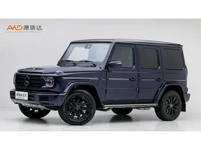 Mercedes-Benz G-Class, фото 1, лот 10807873