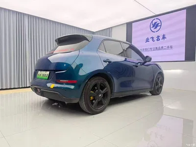 2021 Ora Good Cat 500km Long Range Poseidon Edition (NMC), фото 4, лот 10331139