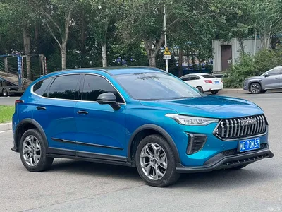2022 Haval Chitu Power Edition 1.5T Purple Copper Rabbit, фото 2, лот 10283637