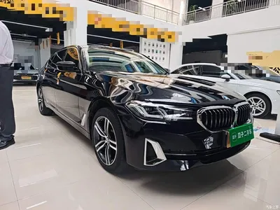 2022 BMW 5 Series Facelift 530Li Leading Luxury Package, фото 4, лот 11081438