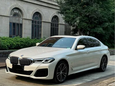 2021 BMW 5 Series Facelift 530Li Leading M Sport Package, фото 1, лот 10674769