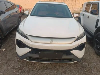 2025 BYD Song Pro New Energy 2nd Gen DM-i 115KM Excellence, фото 2, лот 11584486