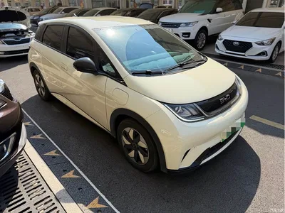 2024 BYD Dolphin Glory Edition 420km Freedom Edition, фото 3, лот 11089541