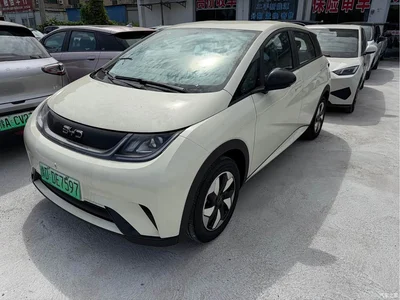 2025 BYD Dolphin 420km Freedom Edition, фото 1, лот 10257302