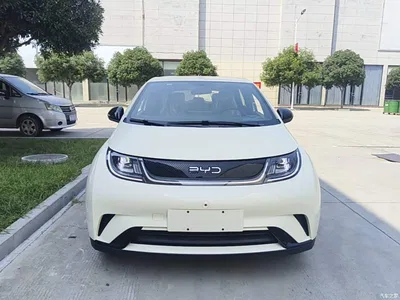 2025 BYD Dolphin 420km Freedom Edition, фото 3, лот 10258743