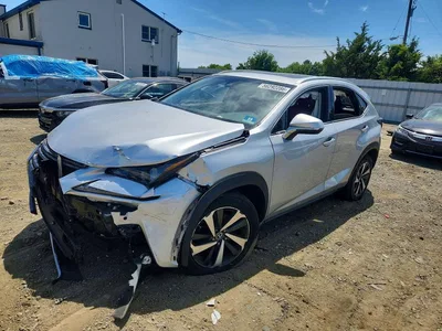 2019 LEXUS NX 300 BASE, фото 1, лот 10899941
